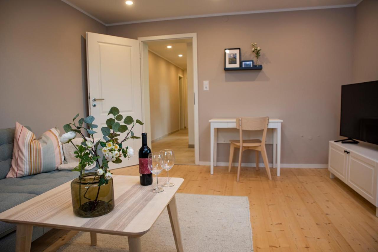 Moderne Wohnung Im Gruenen Mit Privatem Garten Donaueschingen Luaran gambar