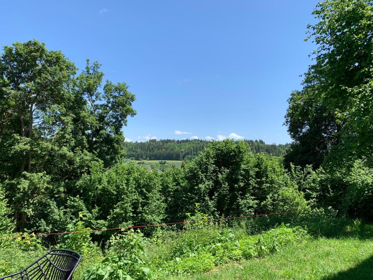 Moderne Wohnung Im Gruenen Mit Privatem Garten Donaueschingen Luaran gambar
