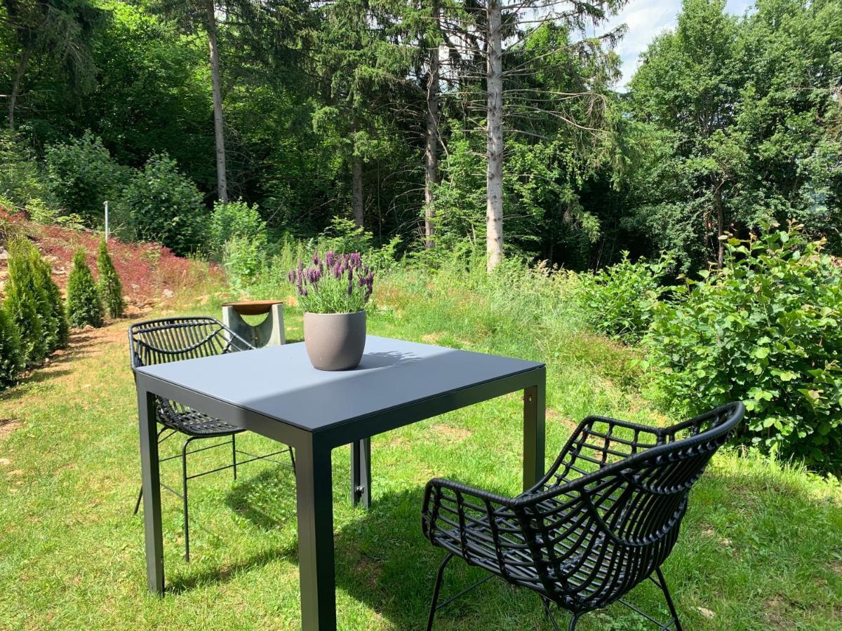 Moderne Wohnung Im Gruenen Mit Privatem Garten Donaueschingen Luaran gambar