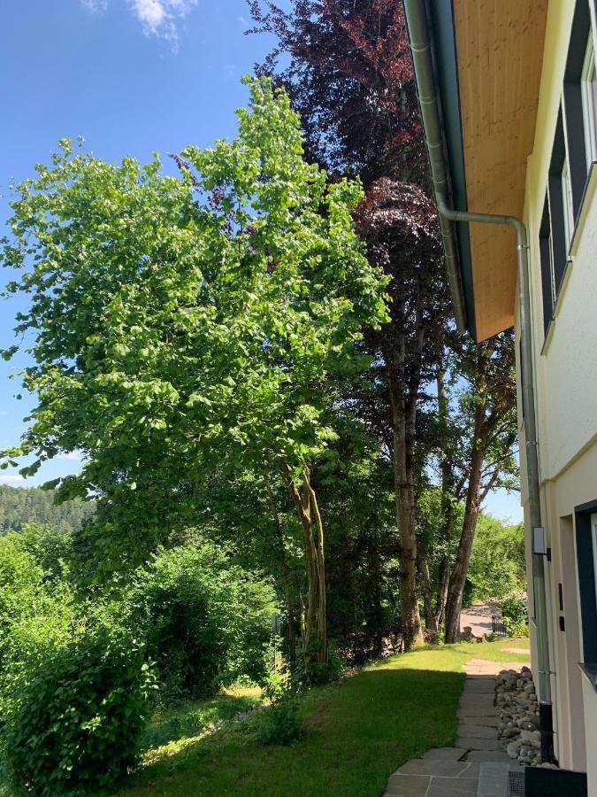 Moderne Wohnung Im Gruenen Mit Privatem Garten Donaueschingen Luaran gambar